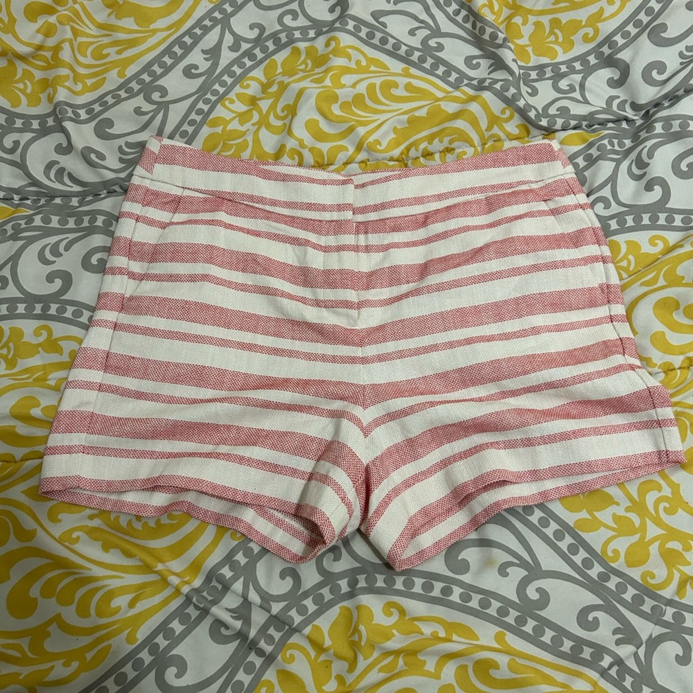 Artisan New York Shorts Size 10